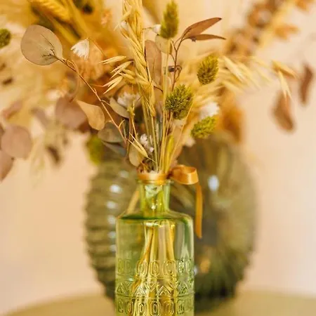 Maison De Caractere A * Châtenois