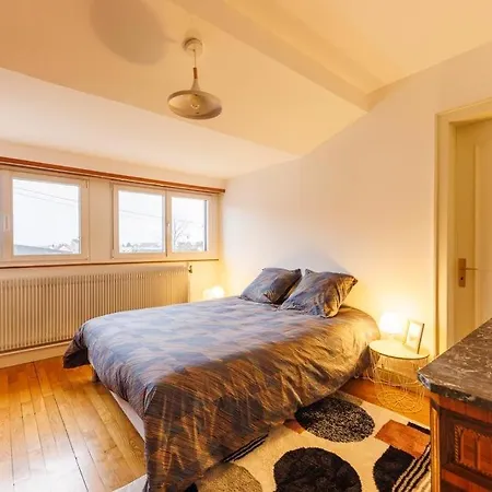 Feriehus Maison De Caractere A Châtenois